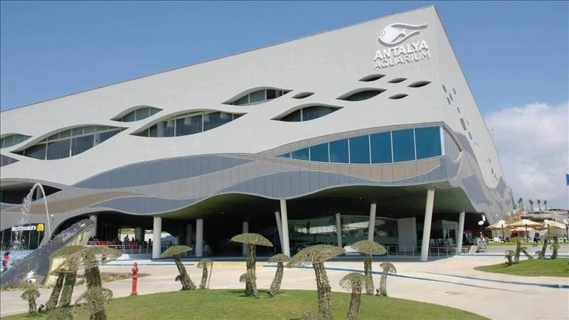 Antalya Aquarium Underwater
