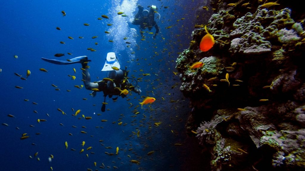 Scuba Diving in Antalya