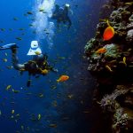 Scuba Diving in Antalya
